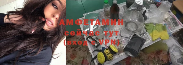 твердый Дмитриев