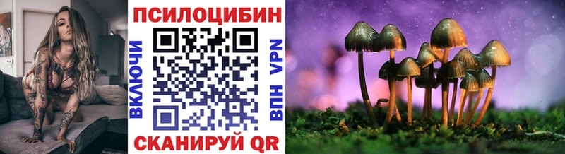 купить наркоту  Остров  Псилоцибиновые грибы мицелий 